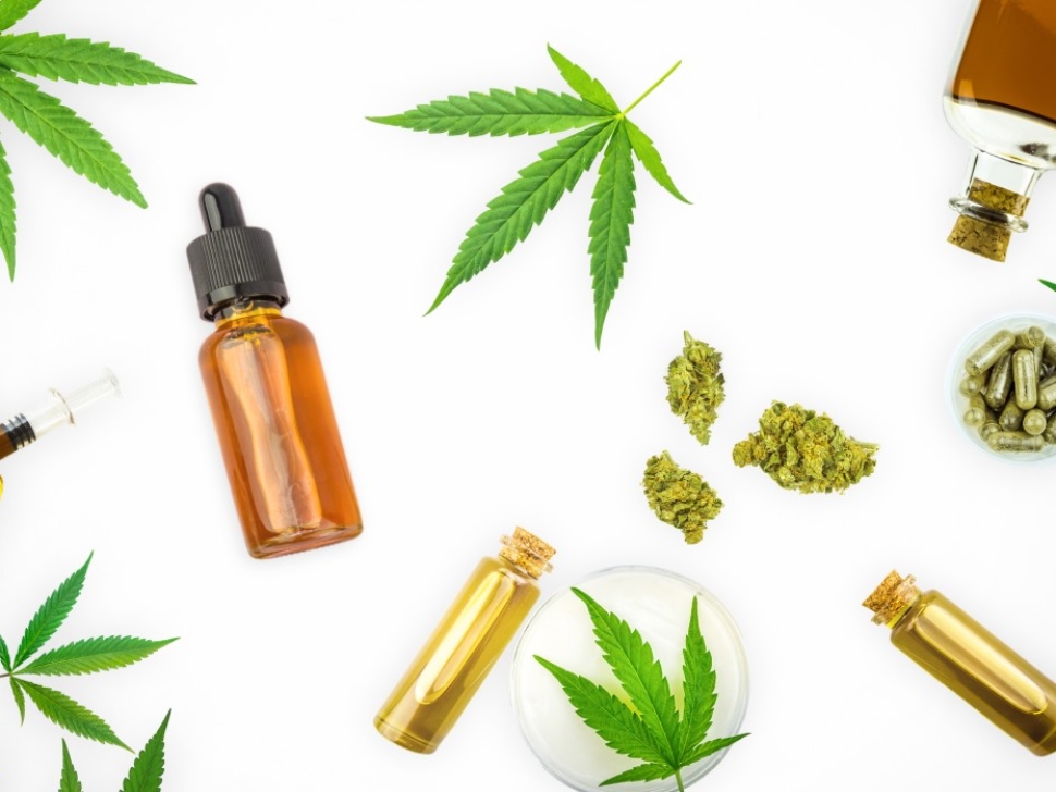 cbd oil hanf tropfen